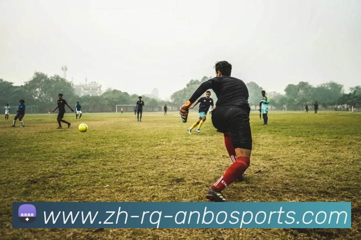 安博体育平台生态图