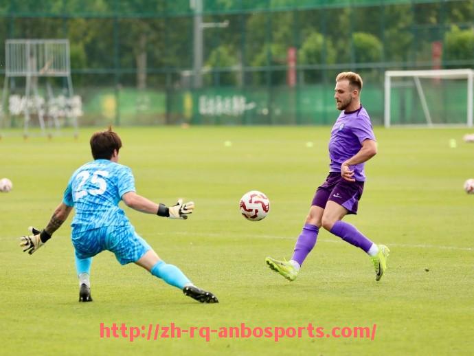 安博体育官网-法甲球员数据对比及技术能力差异分析